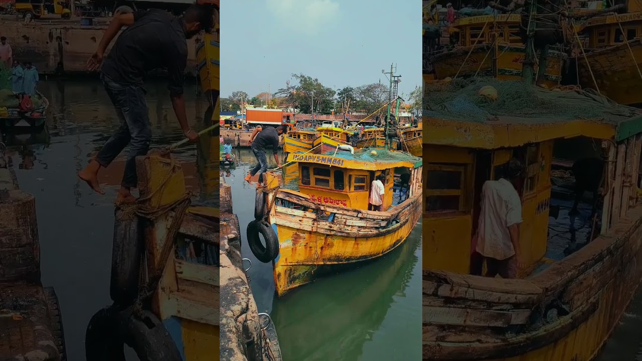 Vizag Fishing 🐟🎣 Harbour #dailyvlogs #shortvideo #youtubeshorts #vizag