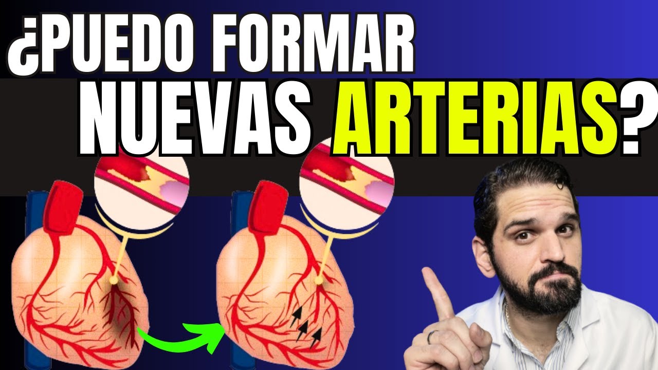 &iquest;Arterias ENFERMAS? El SECRETO de la circulaci&oacute;n COLATERAL ✅💯