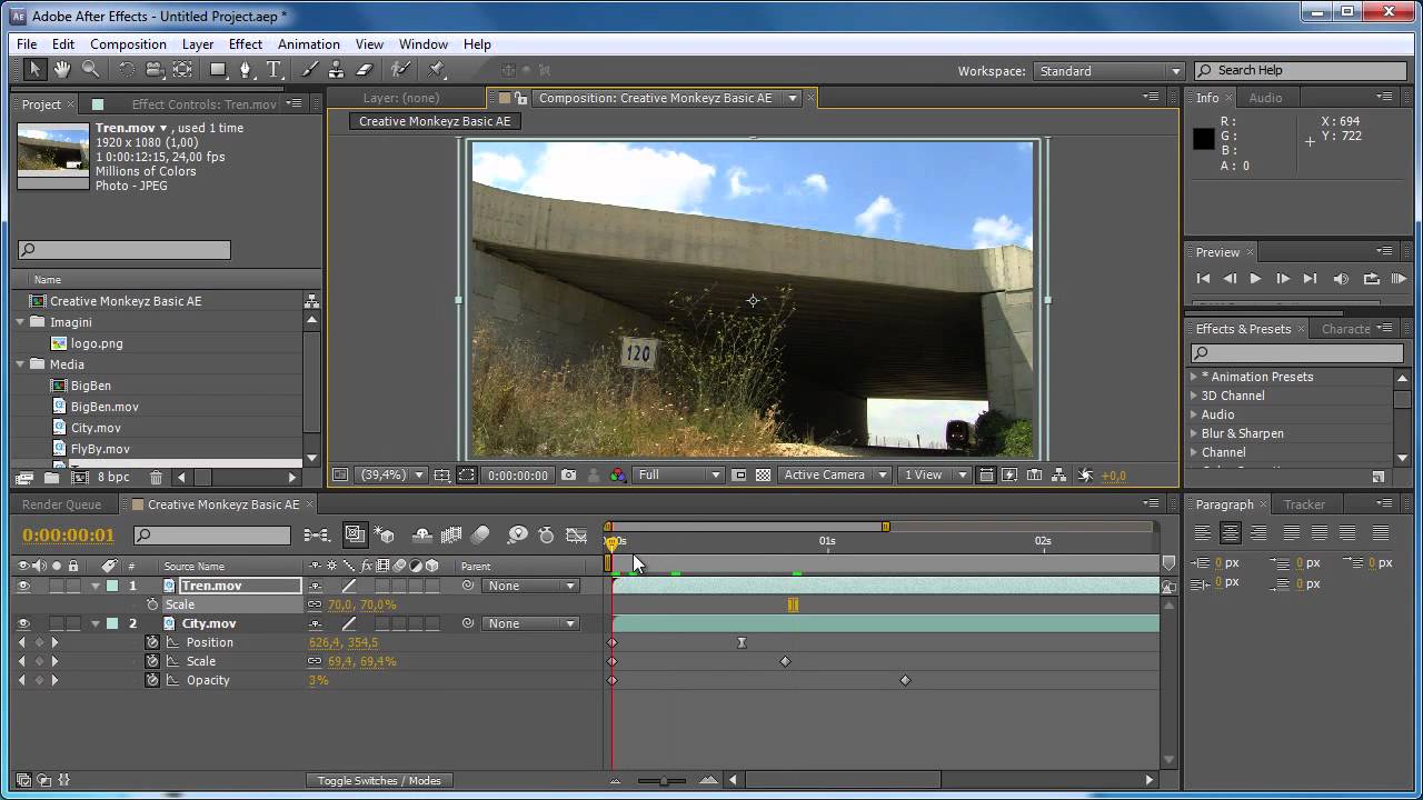 Basic After Effects - Informatii de baza