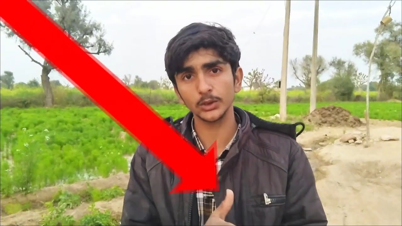 Experiment King Exposed 🚨 | Saare Sabut Saath Mein! (Don't Ignore)