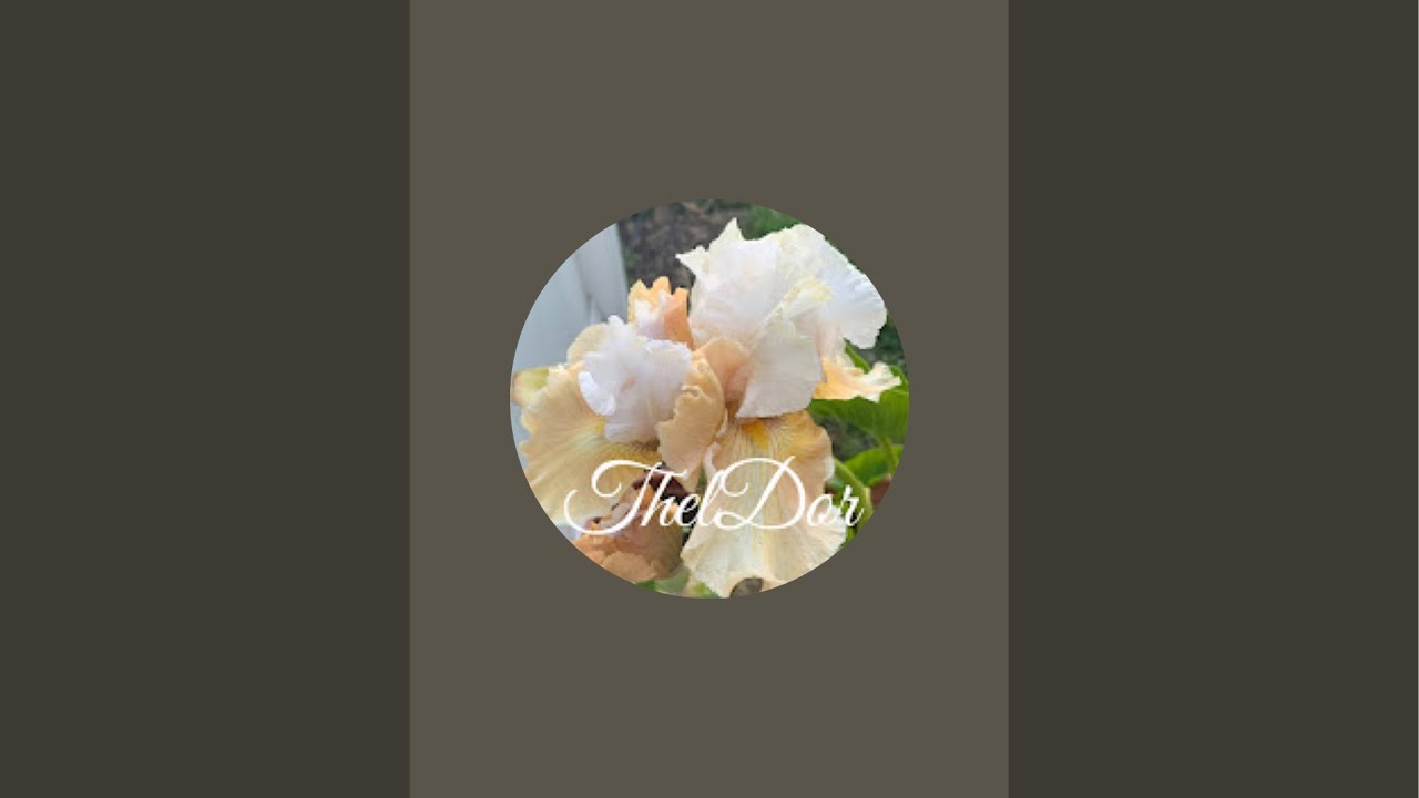 ThelDor is live!  My Just arrived Finally