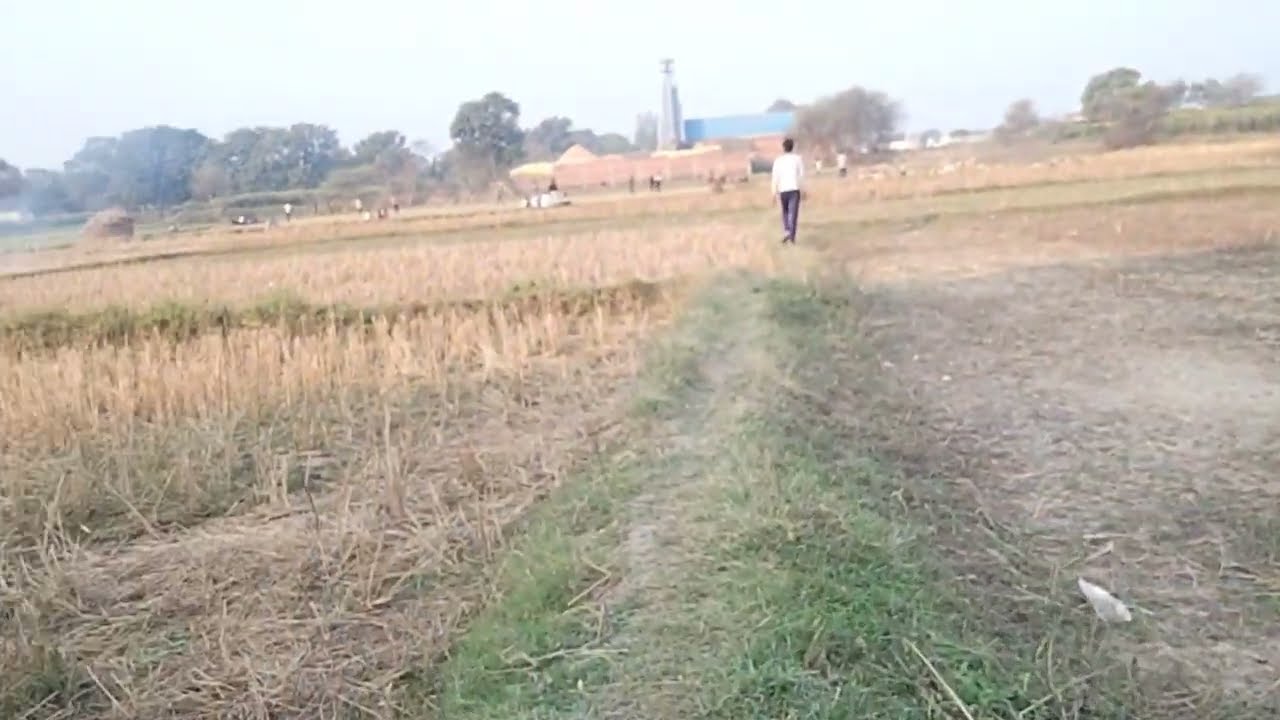 Hlw friends 4th day vlogs..#vlogs #newvlog #explorepage #explore #blogger #upvlogger #viralvideo 