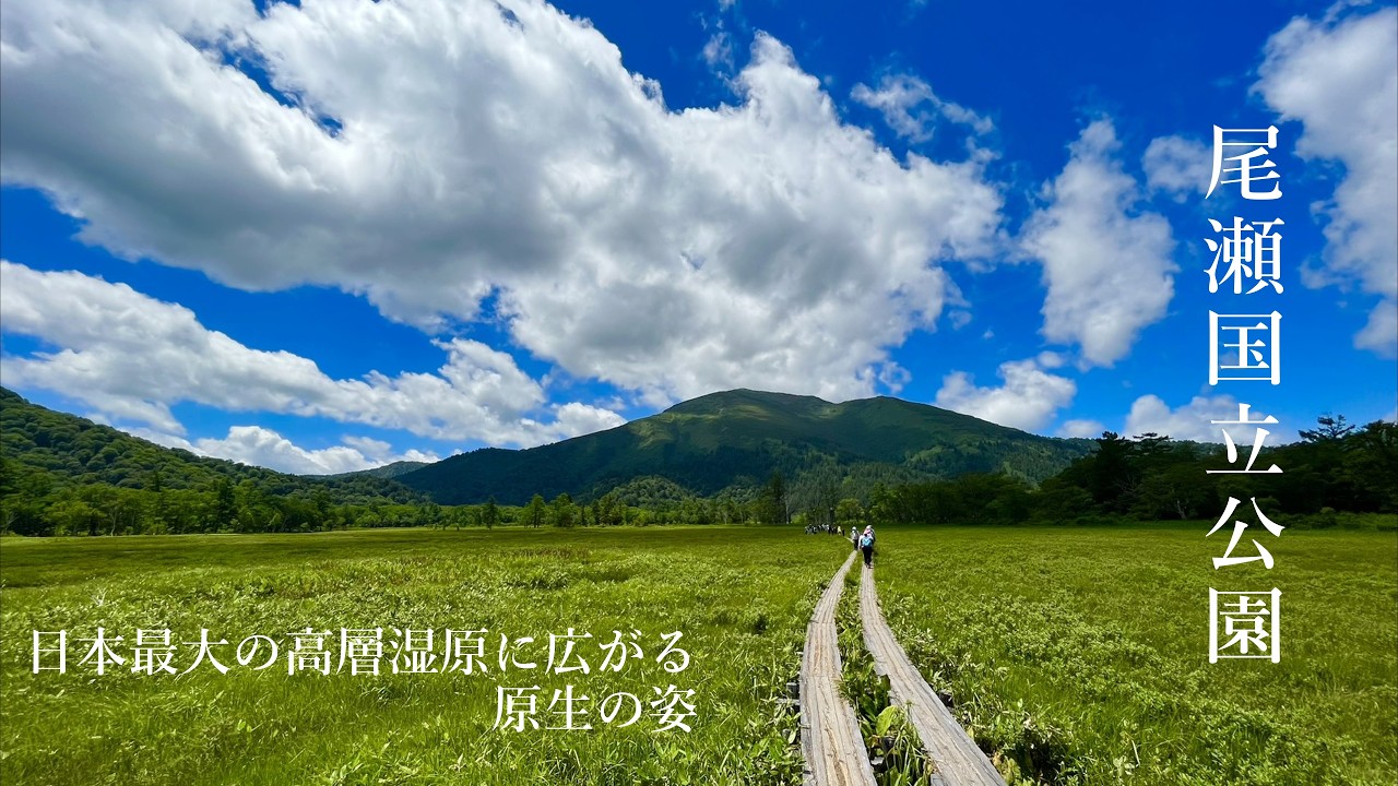 【尾瀬】【4K】2,000m級の山々に囲まれる湿原 尾瀬国立公園 | 尾瀬ヶ原 | 山の鼻小屋 | 竜宮小屋 | 尾瀬小屋 | アカハライモリ | 尾瀬 | 至仏山 | 燧ヶ岳 |
