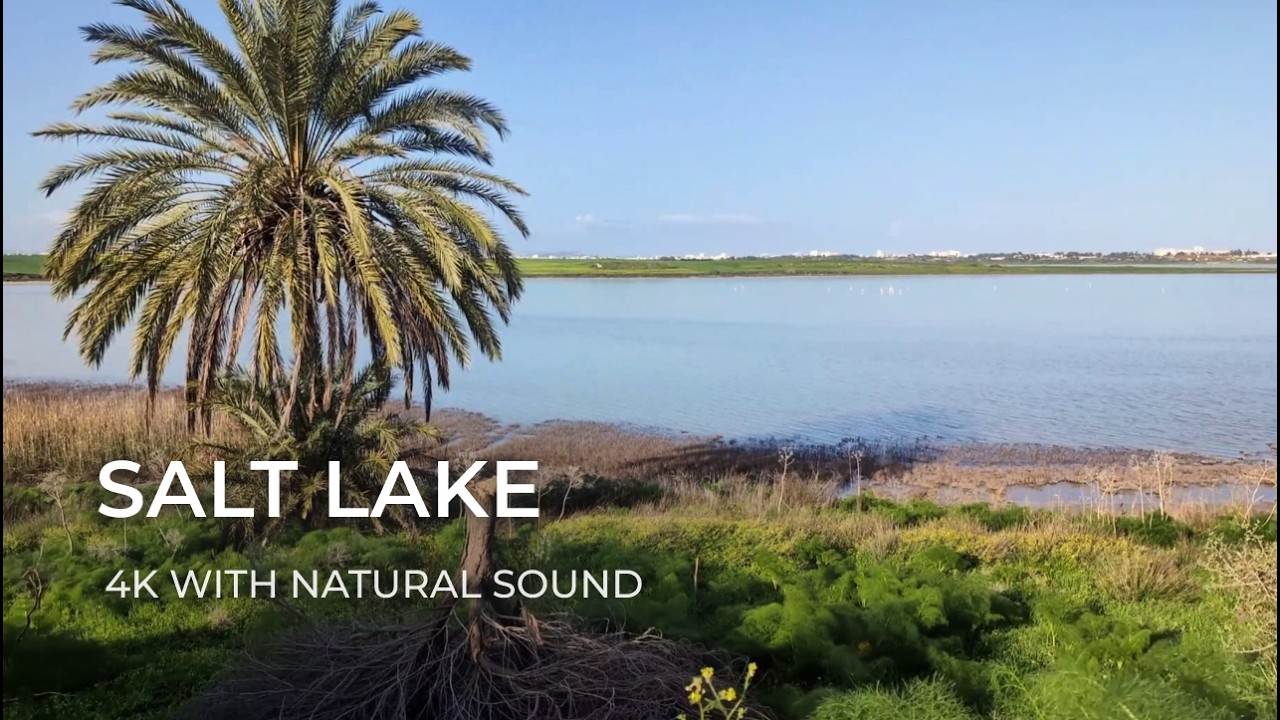 Calm Salt Lake Walk – Wide Open Nature in Cyprus | Nature Comforts