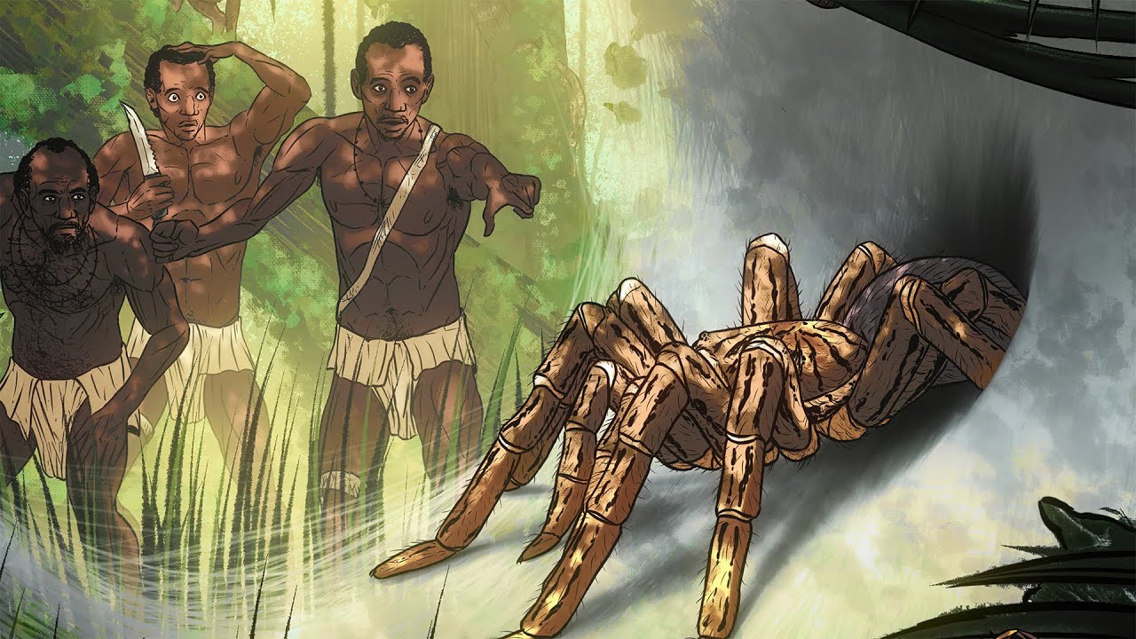 J'BA FOFI: The World's Biggest Spider | Massive Tarantula Cryptid from CONGO