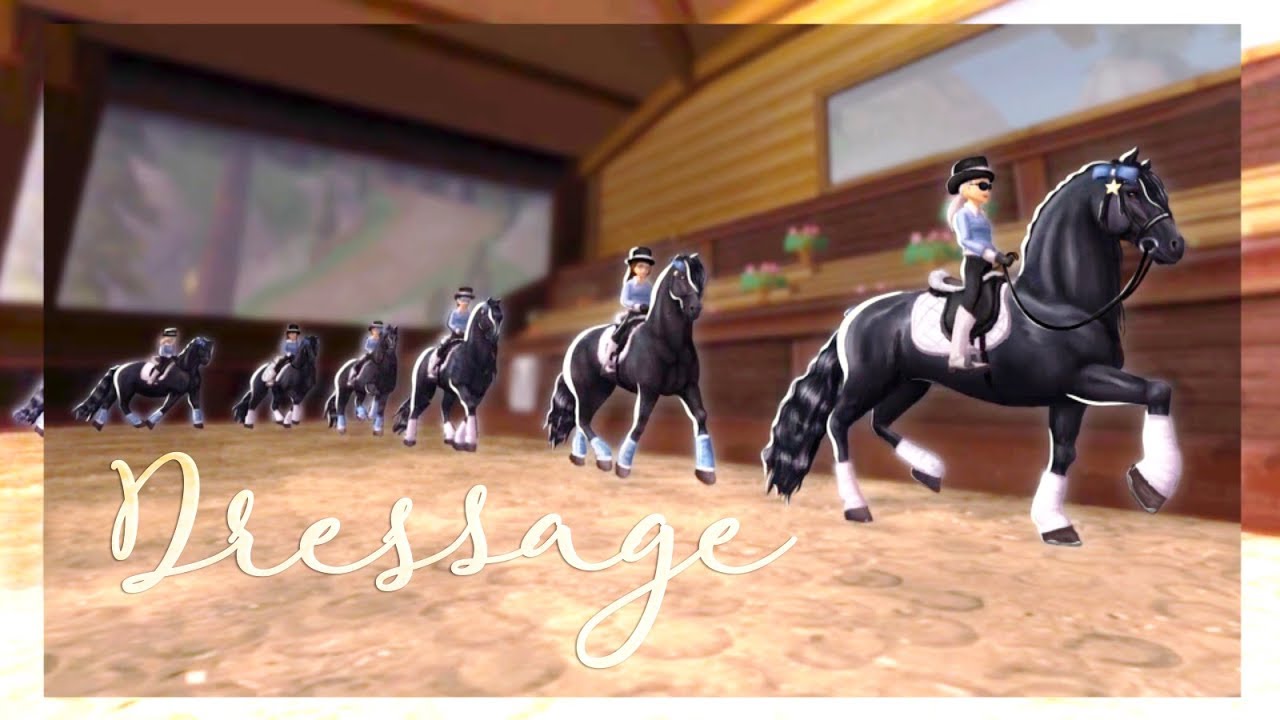 SSO Dressage ♛ Endless Storm | Sea Sisters