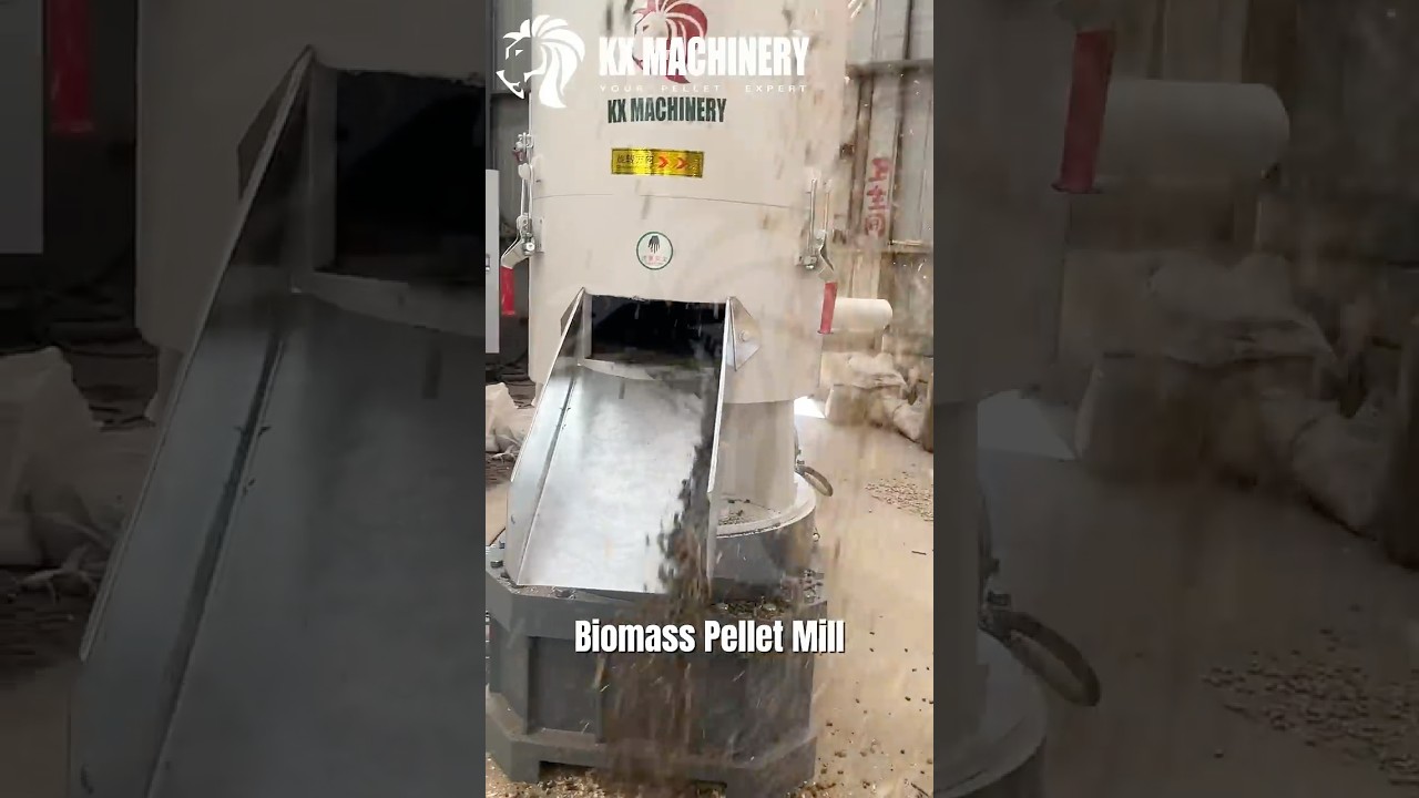 Biomass Pellet Mill Wood Pellet Machine #pelletmachine #pelletmill