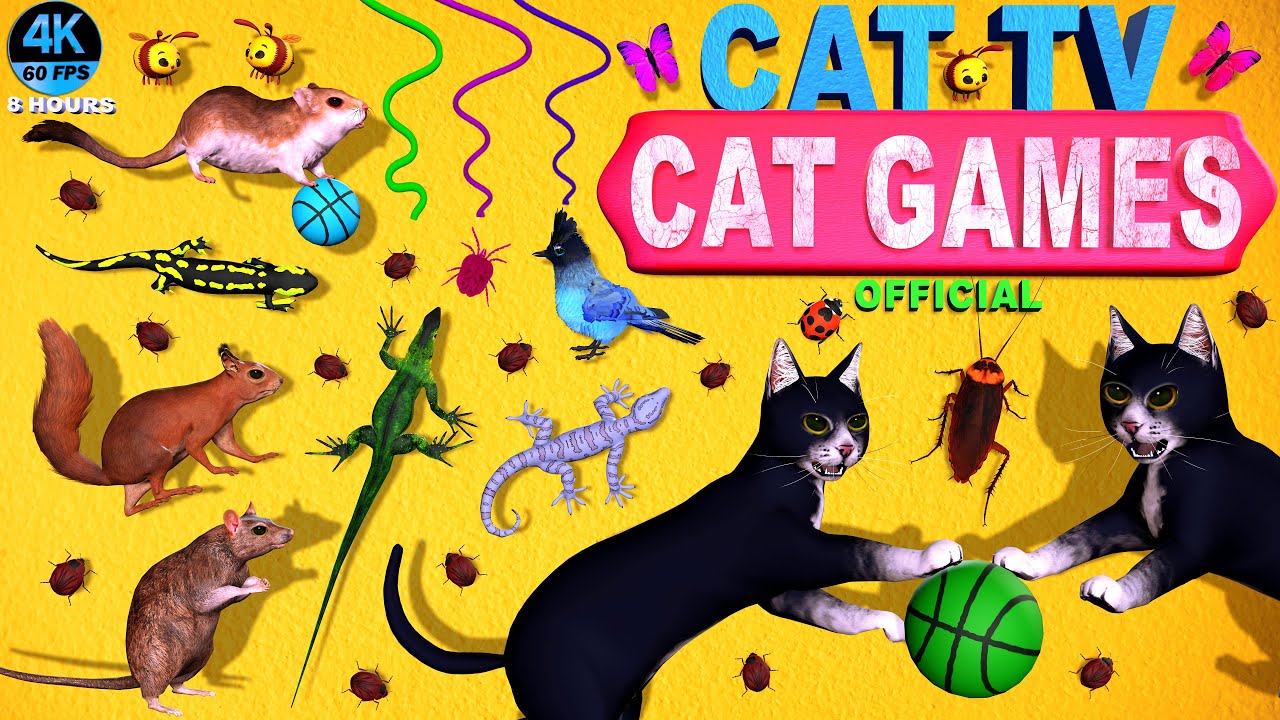 CAT GAMES COMPILATION | ULTIMATE BEST VIDEOS COLLECTION FOR FELINE FRIENDS | CAT TV 4K 8 HOURS