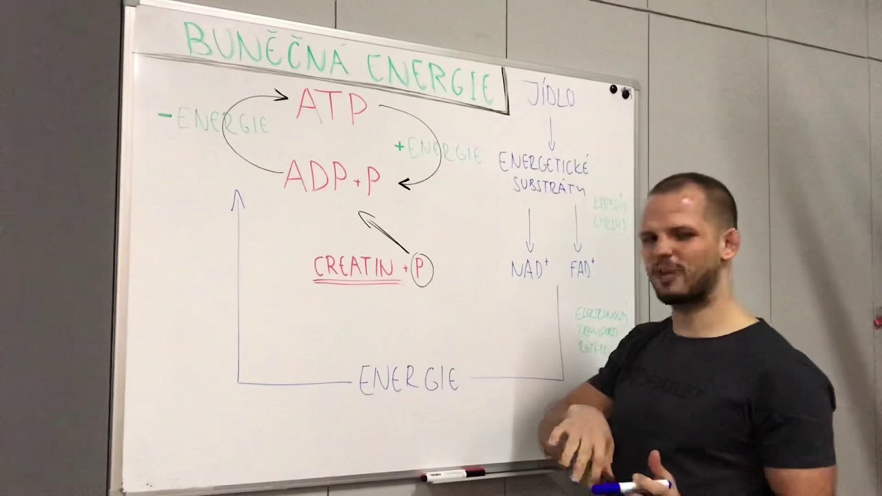 Buněčná energie - ATP