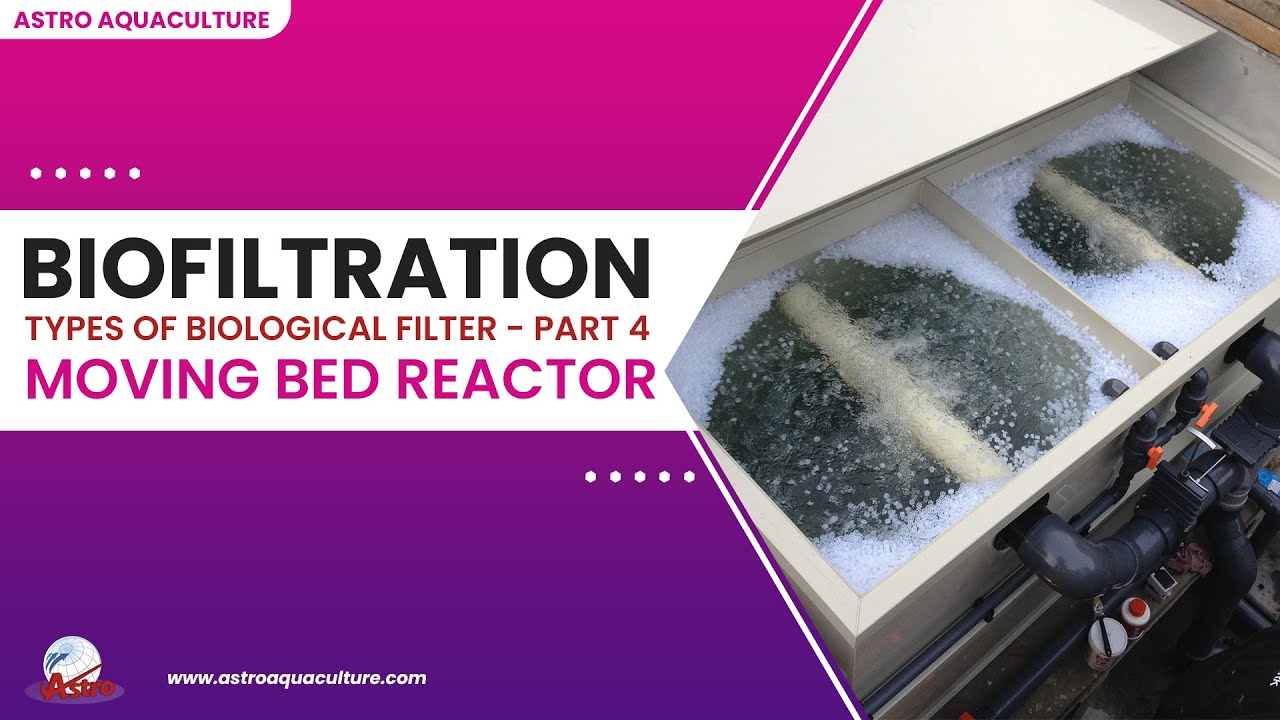 Bio Filter-Moving bed reactor