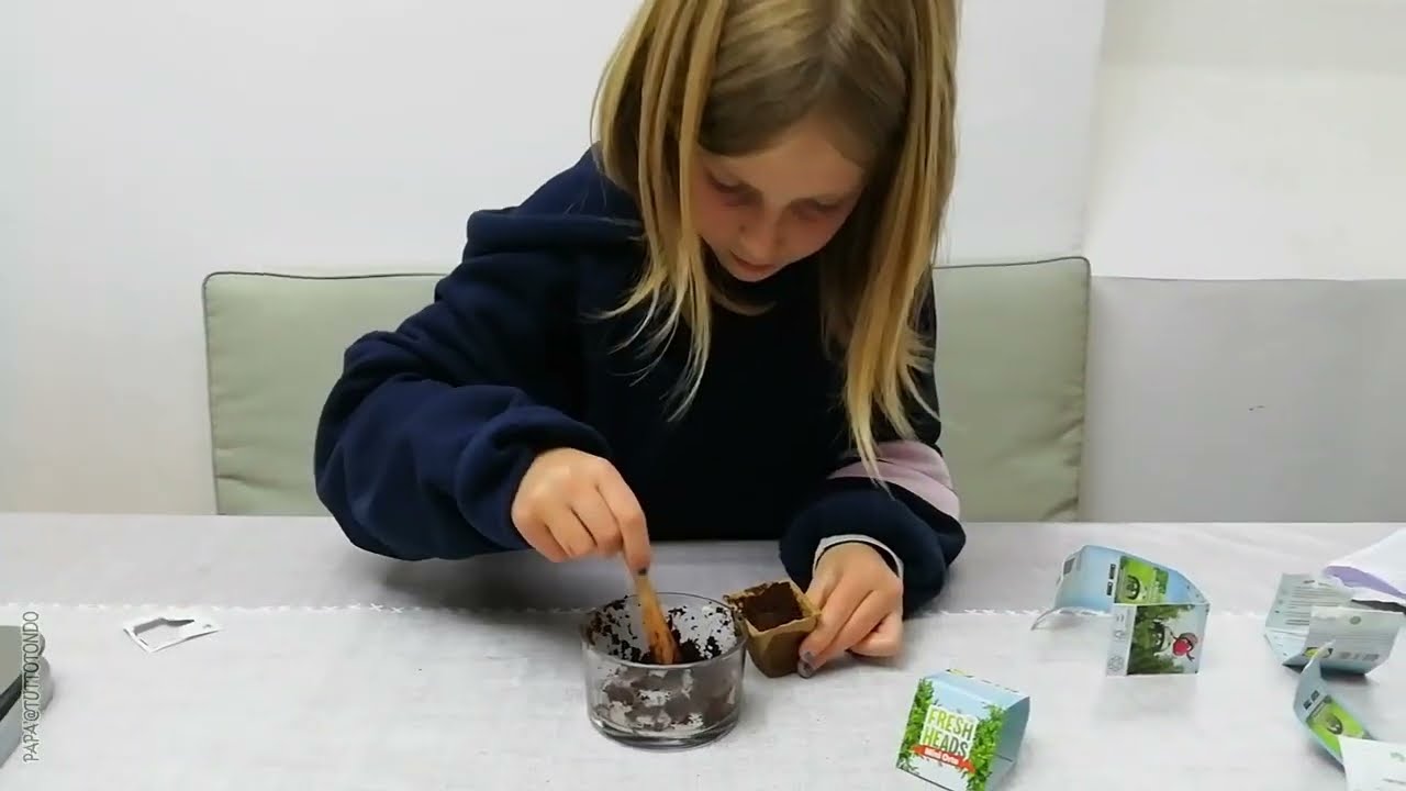 Dal seme al germoglio con il mini orto Lidl - Fresh Heads