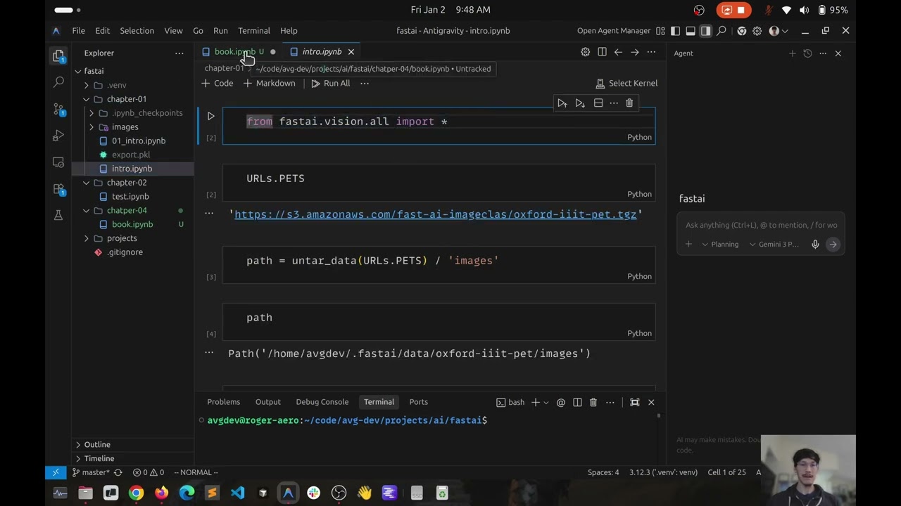 Let's Read -  Deep Learning for Coders with fastai and Python - 11