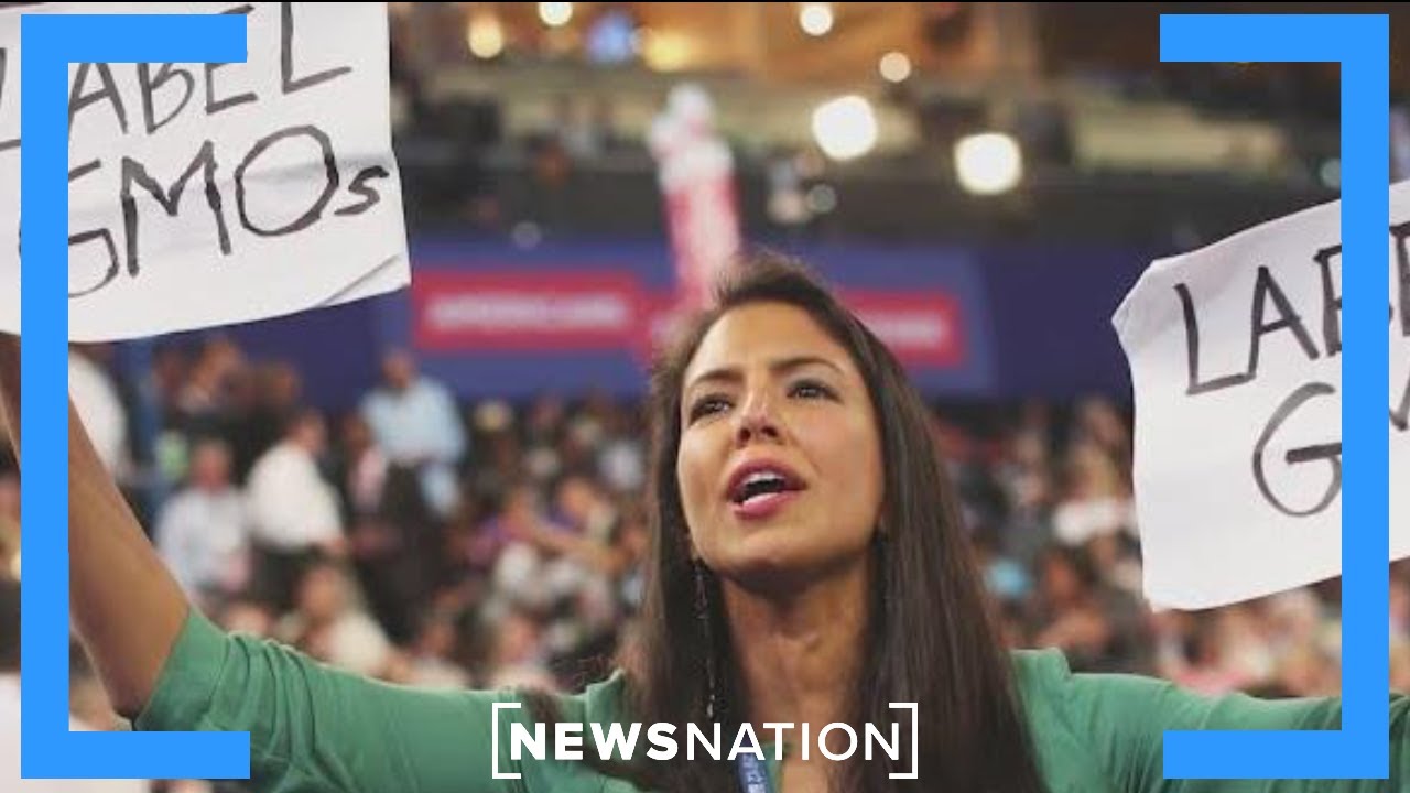 Health activists wage war on processed foods amid MAHA movement | Morning in America