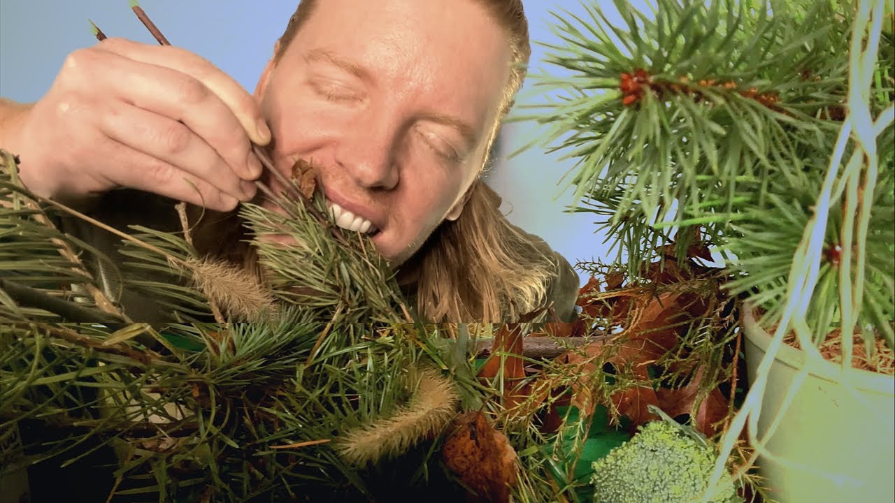 ASMR MUKBANG | ASMR Eating Pine Cones, Grass, Sticks, Pine Needles, Log, Golf Balls, Wheat