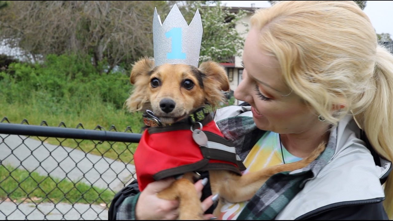 A PUPPY PARTY! | Goby's First Birthday | CoralReefer