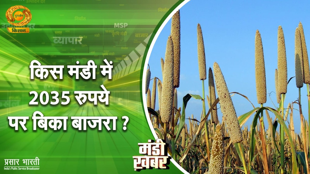 Mandi Khabar | मंडी खबर: किस मंडी में 2035 रुपये पर बिका बाजरा? | DD Kisan | 10/03/2026
