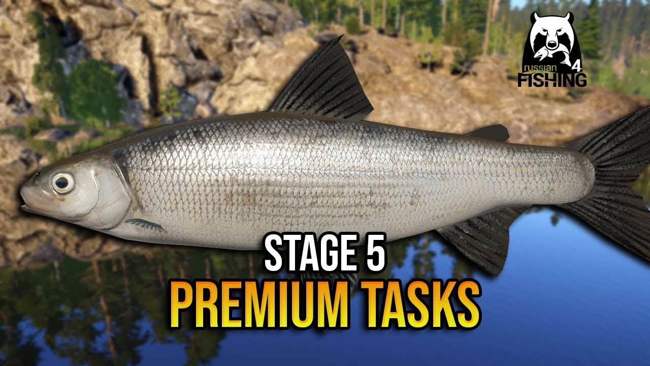 STAGE 5 (Premium) Anniversary 2025 - Russian Fishing 4