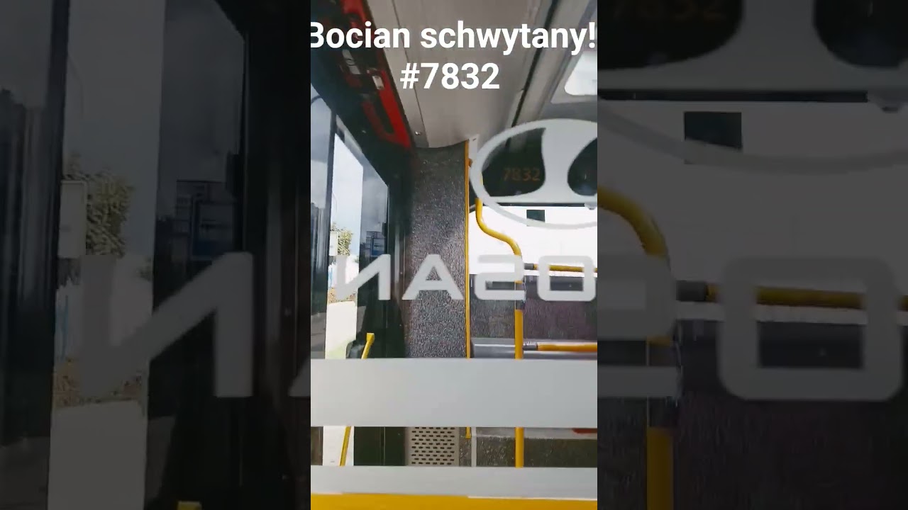 Bocian schwytany! #7832 kurs od krakowiak&oacute;w prawe do alei krakowskiej linia 141
