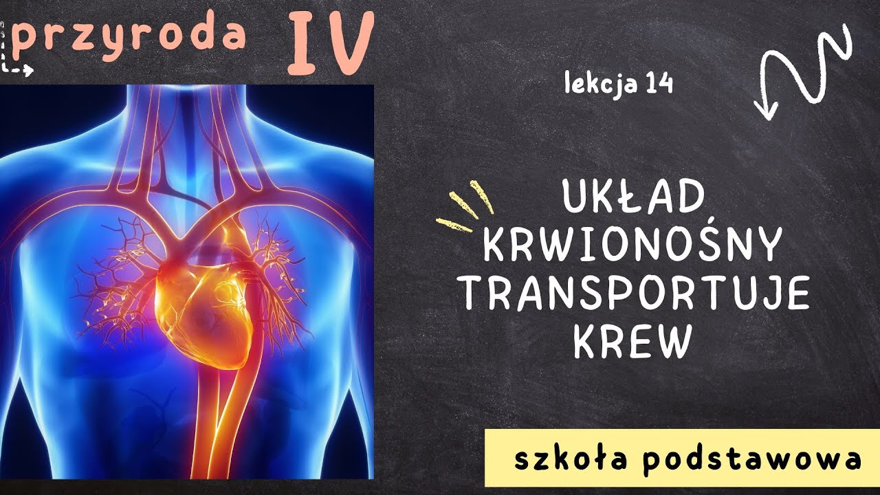 Przyroda klasa 4 [Lekcja 14 - Układ krwionośny transportuje krew]