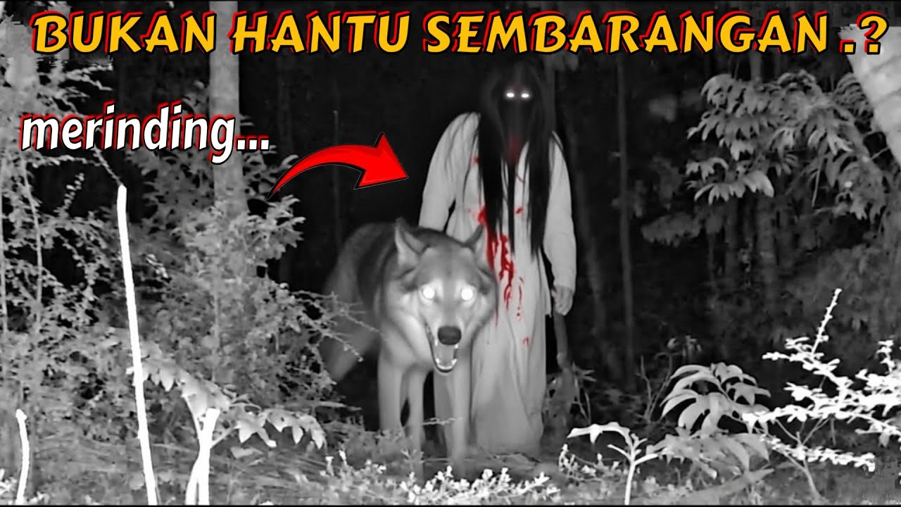 SERAM ‼️ INI BUKAN HANTU SEMBARANGAN! TERNYATA SILUMAN SERIGALA! eksperimen cctv 