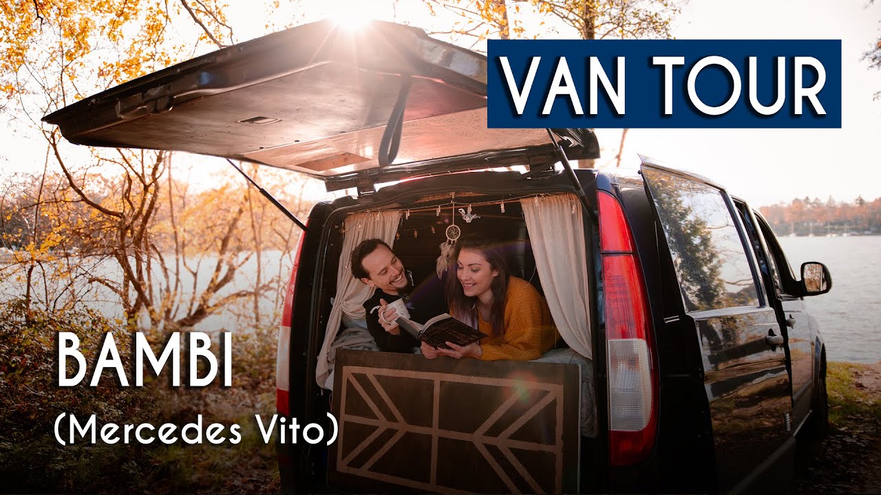 VanTour de Bambi (Mercedes Vito) Aménagement amovible / minimaliste pour voyager avec des chats 😸