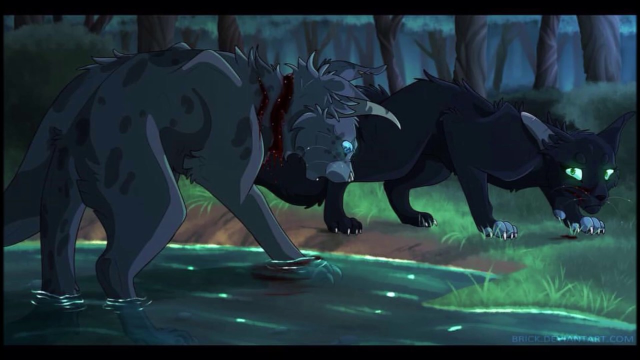 Distelblatt || Warrior Cats Videos