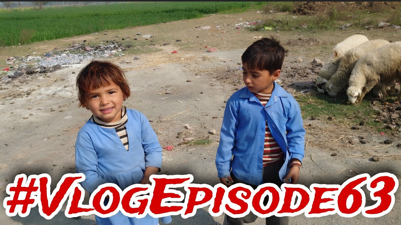 Ali Zainab ko school se chutti mil gye🫣 | Village Life Vlog Ep. 63 | Village Culture 🌟