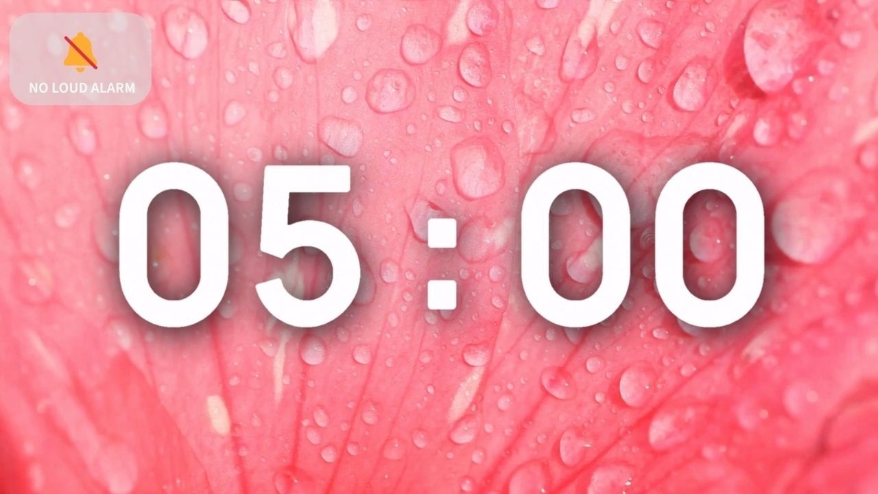 5 Minute Classroom Timer with Music ❘ Calm Gentle Piano Pink Flowers ❘ NO LOUD ALARM