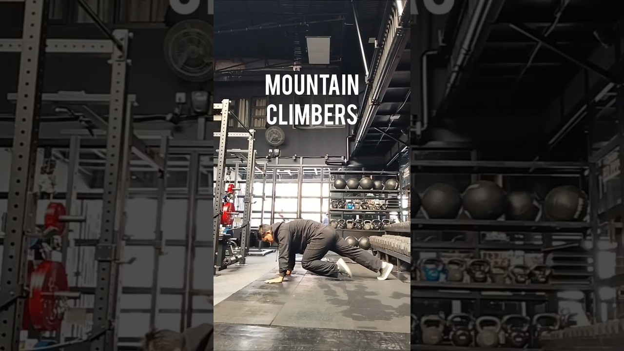 Mountain climbers guide. 