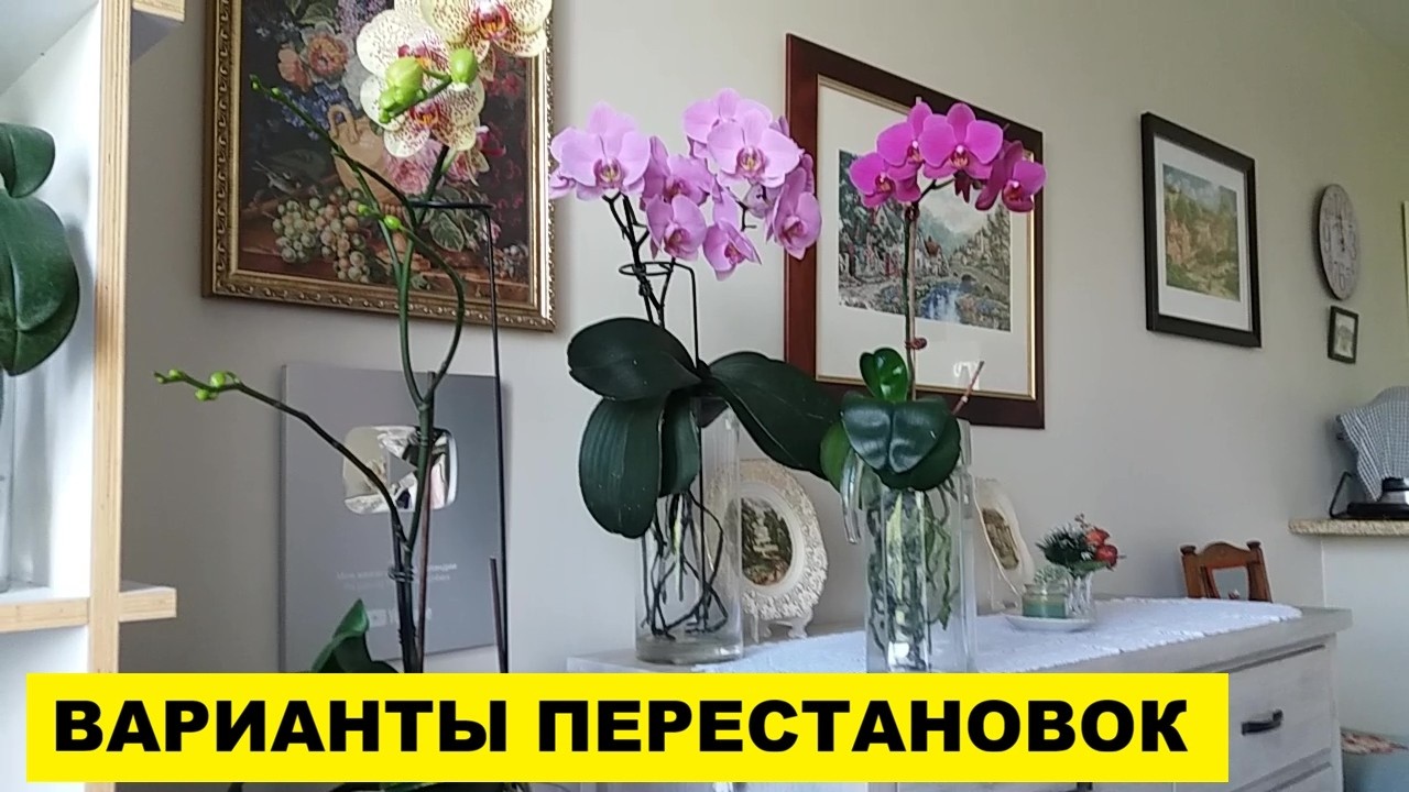 ВАРИАНТЫ ПЕРЕСТАНОВОК И ПОКУПКИ НОВОЙ МЕБЕЛИ