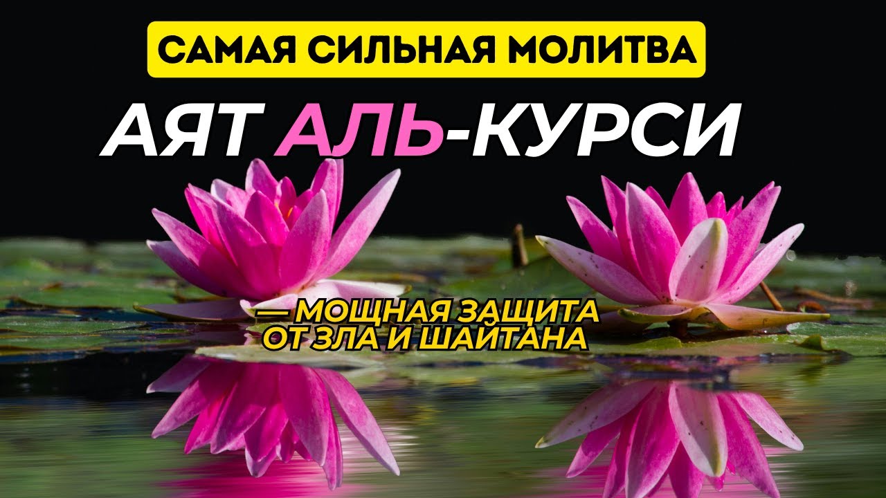 Моя история: Как Аят аль-Курси помог мне в самый трудный момент