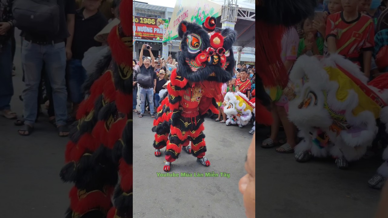 M&uacute;a l&acirc;n cực chất #liondance #barongsai #mualancuchay #liondance2025
