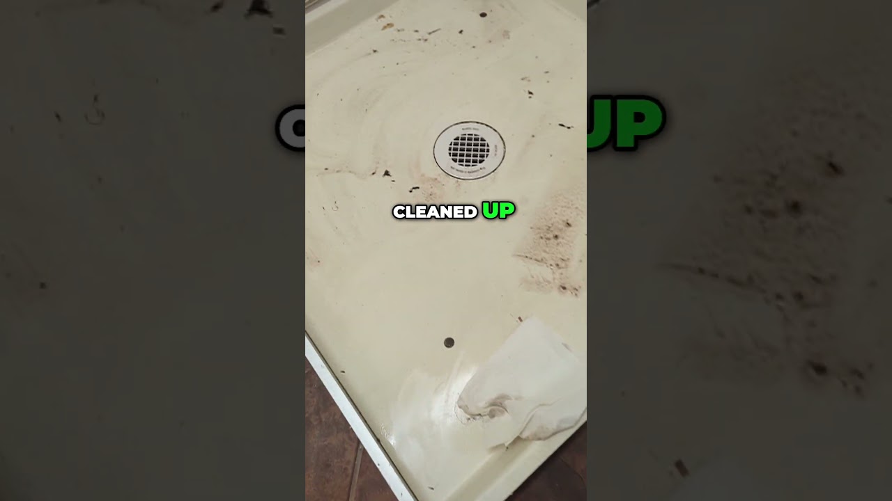 Laundry Room Deep Clean - New Washer & Dryer Prep!