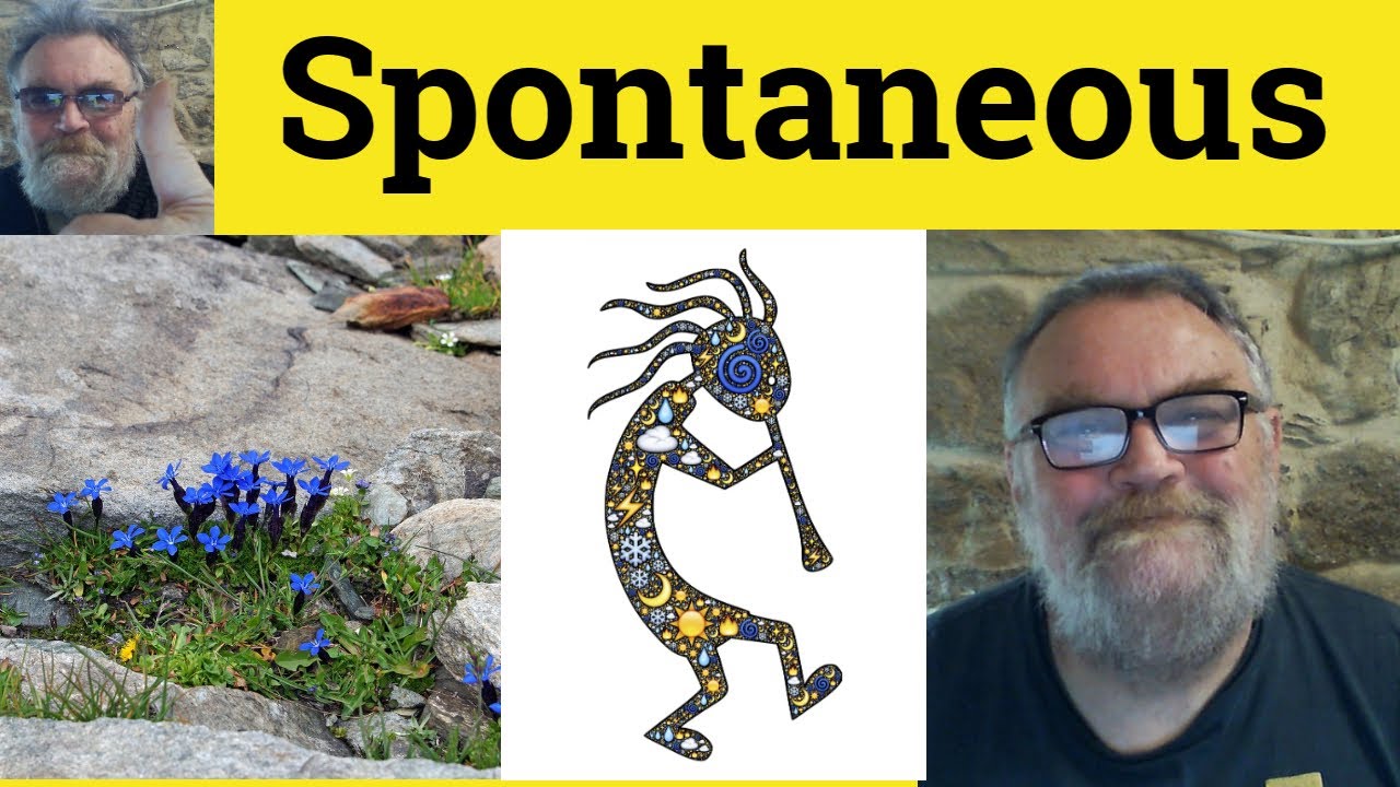 😎 Spontaneous Meaning - Spontaneity Examples - Spontaneous Defined - Spontaneous Spontaneity
