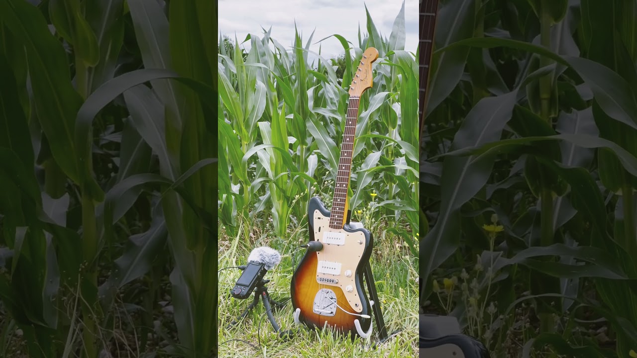 A guitar played by the wind 🌬️🎸 