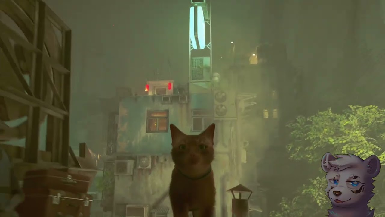 20260217直播記錄檔