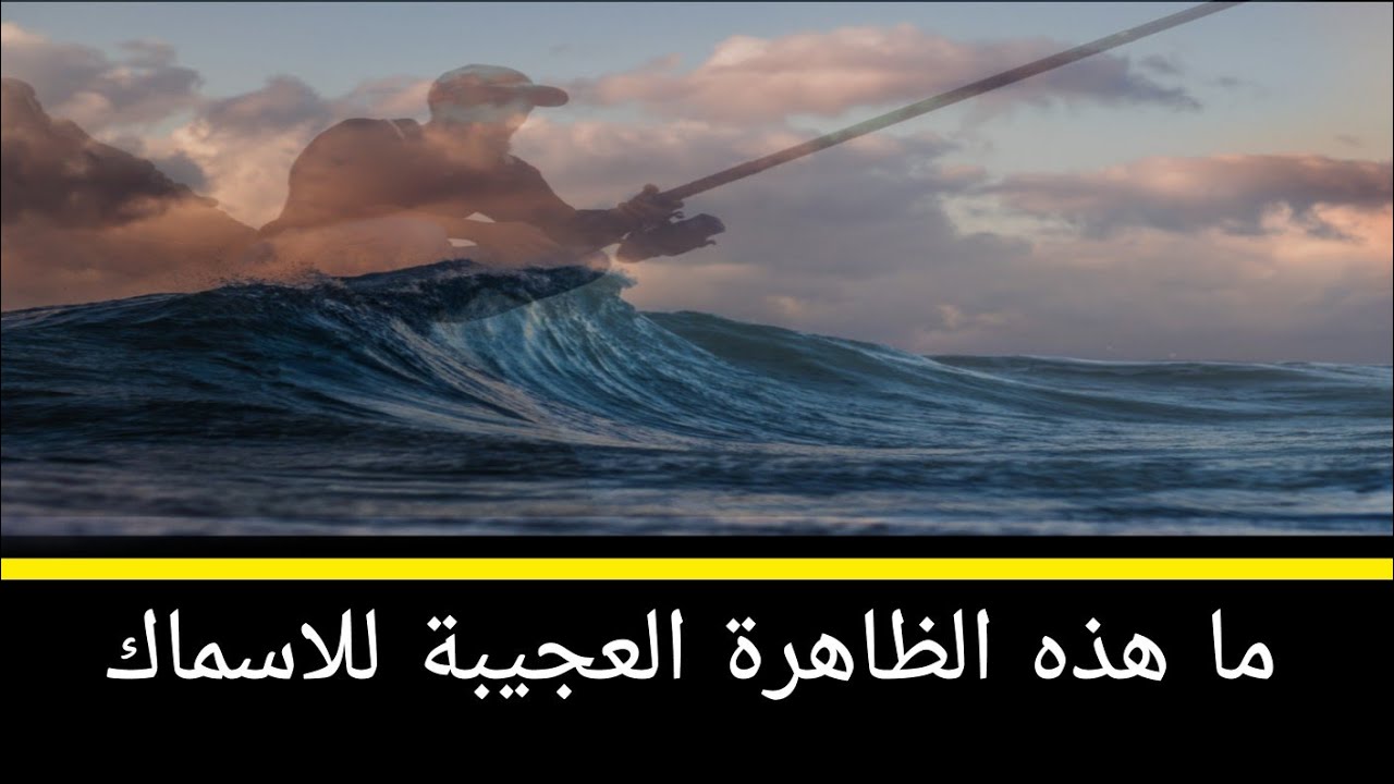 ما هذه الظاهرة التي يعاني منها جل الرياس (الطيران او الفكان)