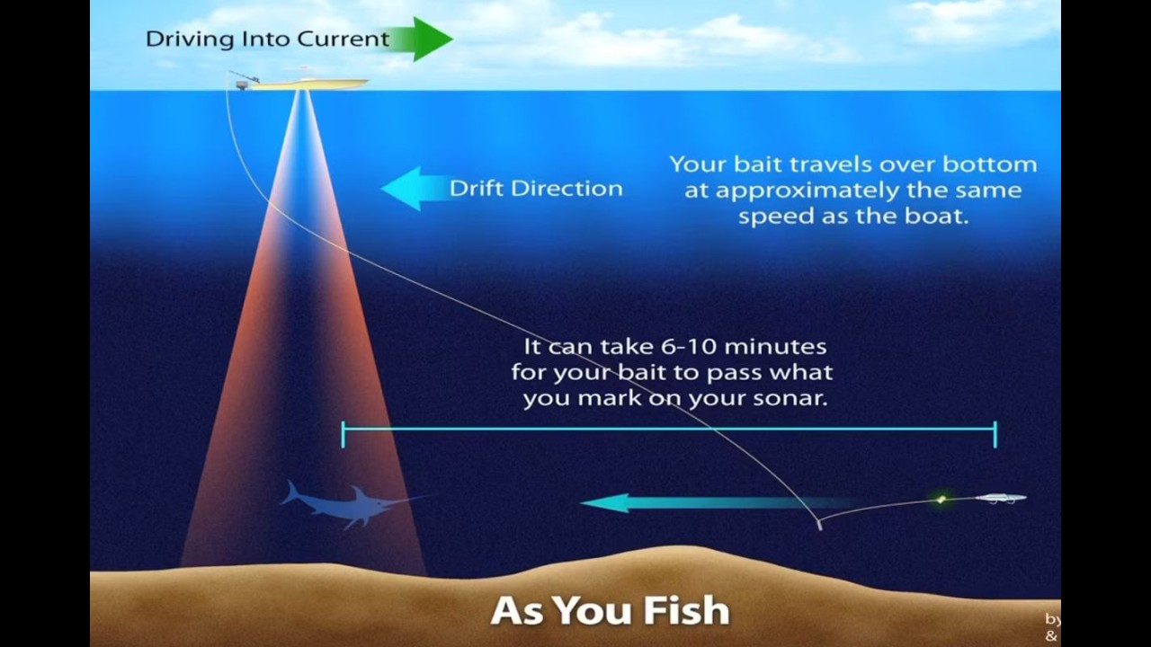 The Art and Science of Targeting Broadbill Swordfish| In The Spread Fishing Videos