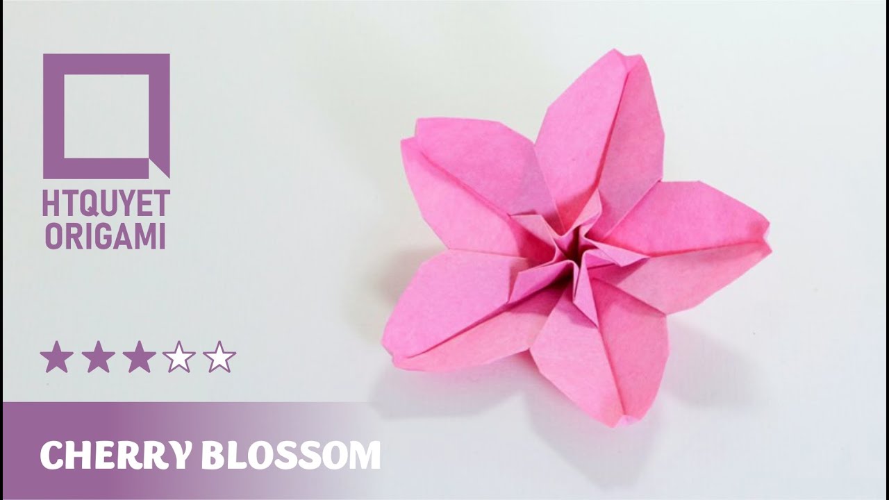 Origami Cherry Blossom - Hoa Anh đào (Hoang Tien Quyet)