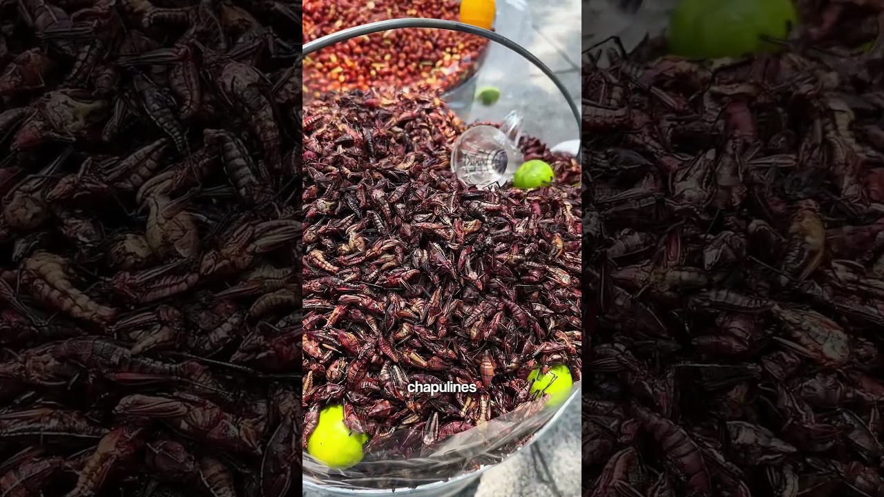 &iquest;Sab&iacute;an que en #M&eacute;xico se comen m&aacute;s de 500 tipos de insectos? &iquest;Han probado los #chapulines?