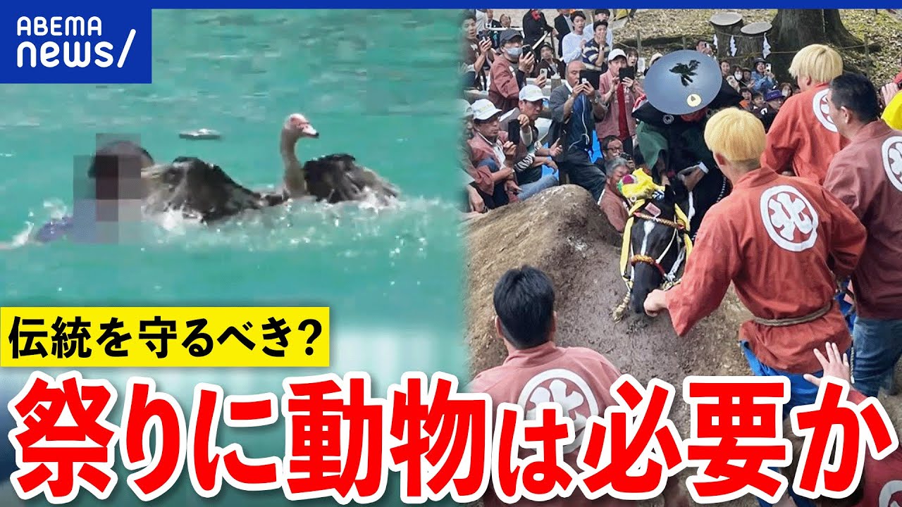 【生贄】お祭りに動物は必要？アヒル採りや上げ馬に批判も？伝統的な神事もアップデートするべき？｜アベプラ