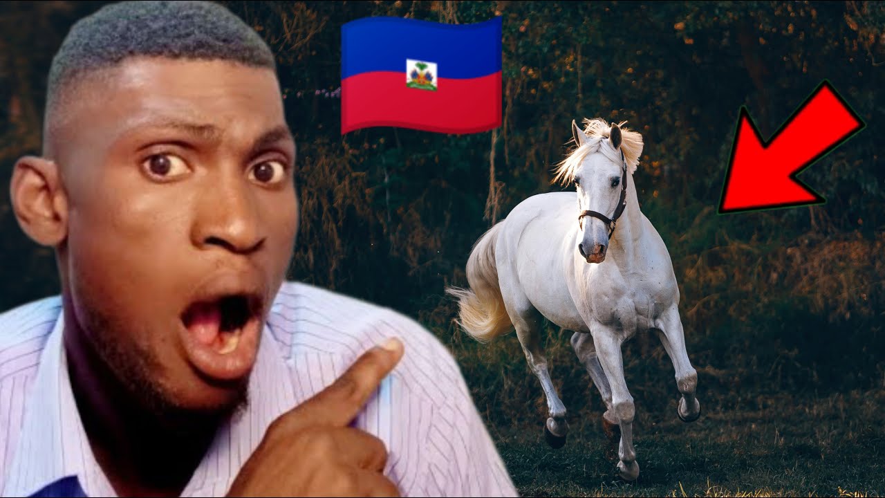 Lèw reve cheval me kisa li vledi 💯 me tout sinifikasyon li genyen fr Joseph Enel55 🇭🇹