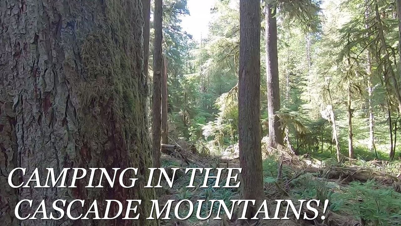 Boondocking in the Cascades | Swimming in a Mountain Stream | Nighttime Wildlife Encounter