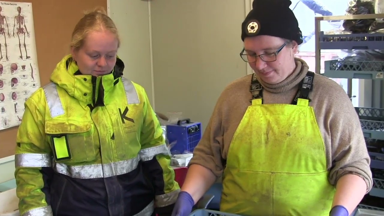 M&AElig;RSK UDGRAVNING