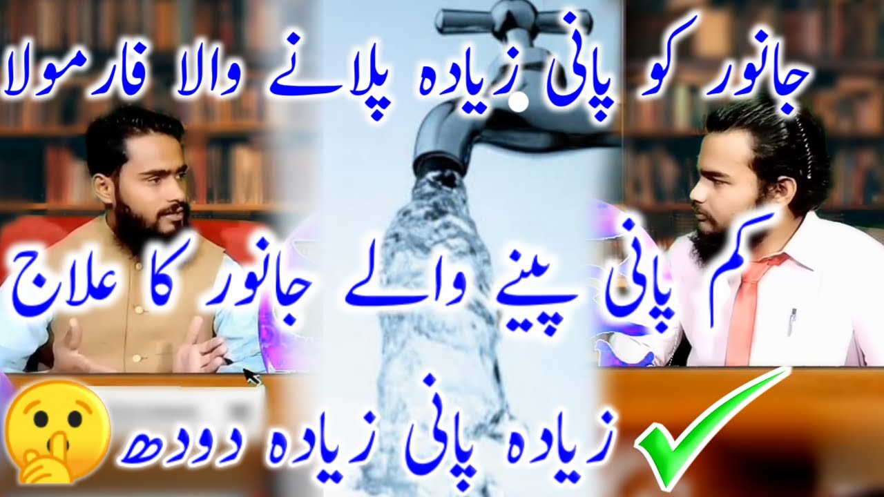 Janwero ka Pani kam Pine ka ilaj | Pani Zayada Pilane Kaliya dasi formula | Janwer Pani Kam Pita hai