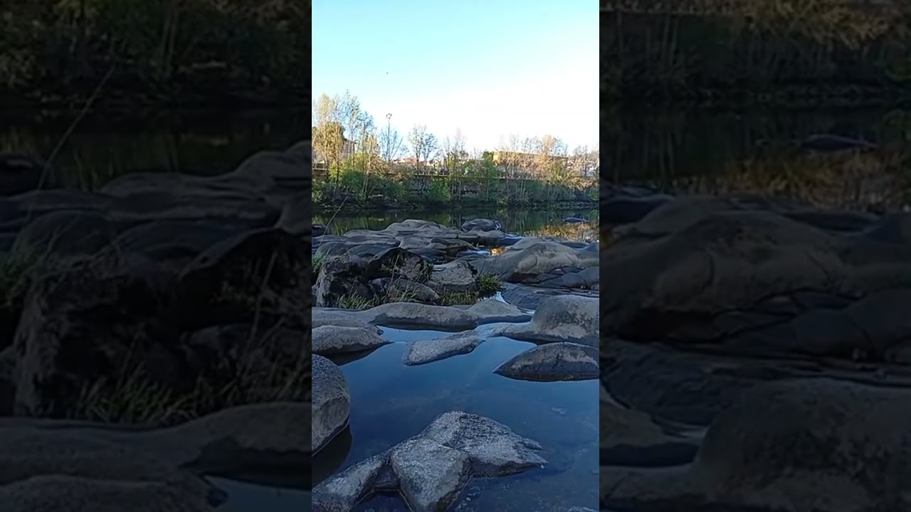 1 de Abril una bendici&oacute;n.La voz espiritual de una mujer.