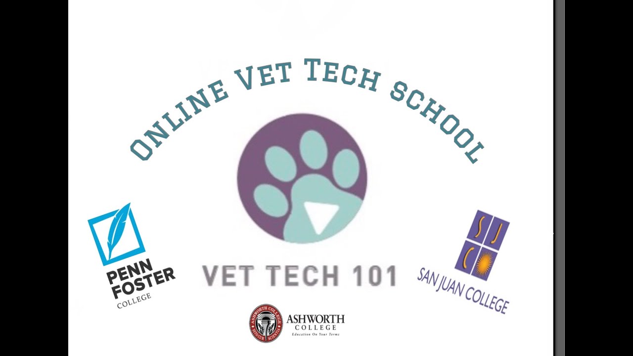 All about Online Vet Tech School