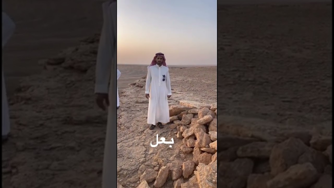رداعة الوليعي لصيد الذئاب في طويق