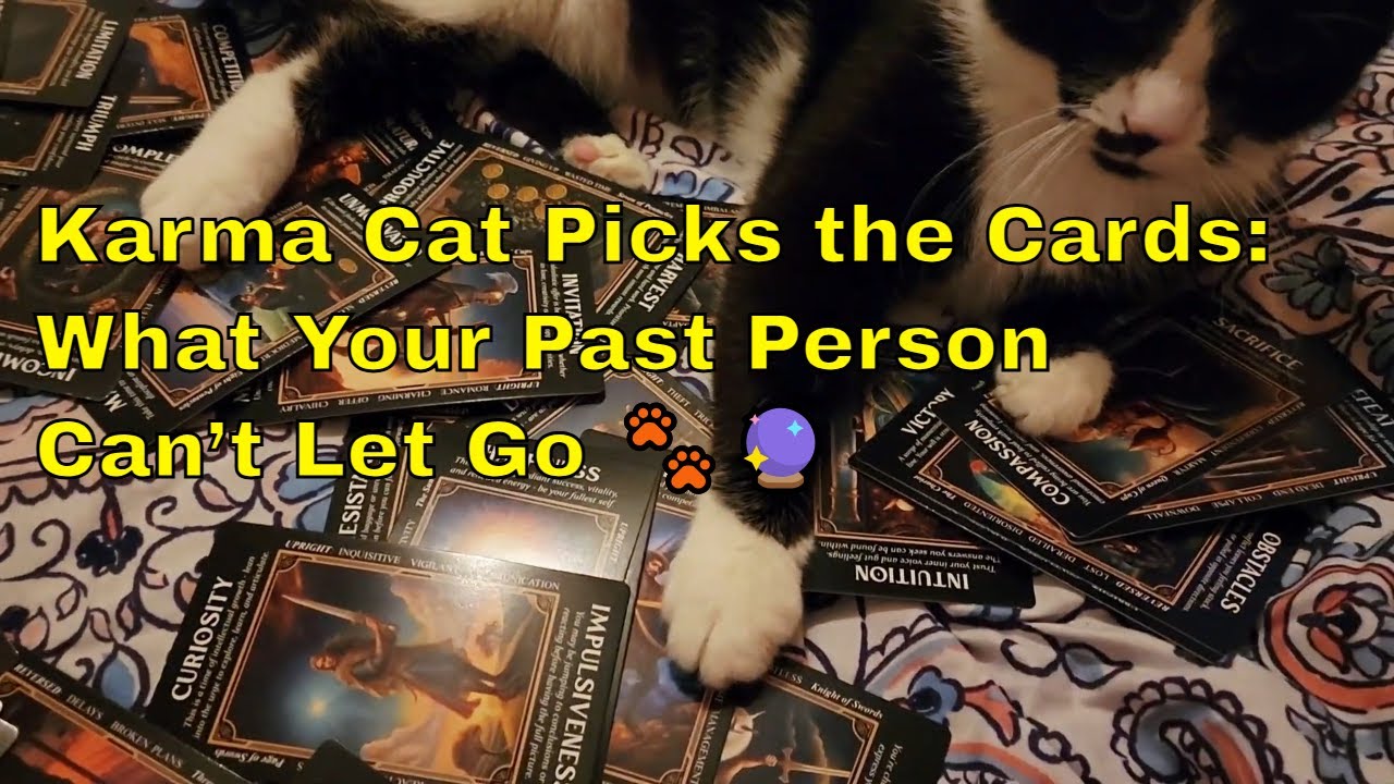Karma Cat Picks the Cards: What Your Past Person Can’t Let Go 🐾🔮