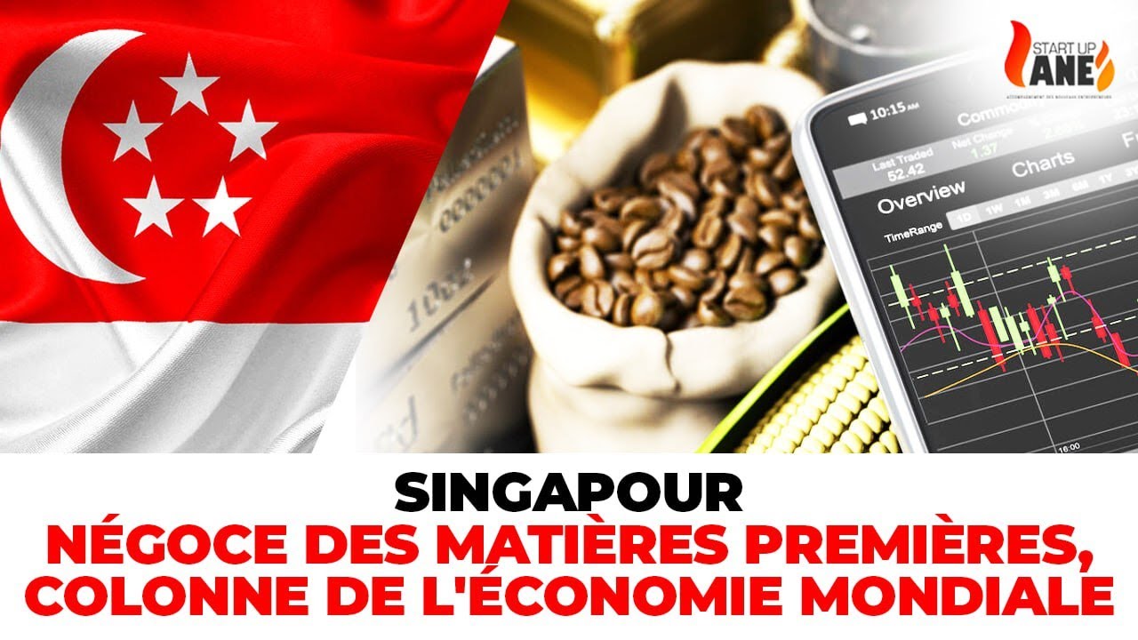 SINGAPOUR : NÉGOCE DES MATIÈRES PREMIERS COLONNE DE L'ÉCONOMIE MONDIALE.